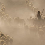 Photo of ¿Por qué los pastores deben preocuparse de su santidad?