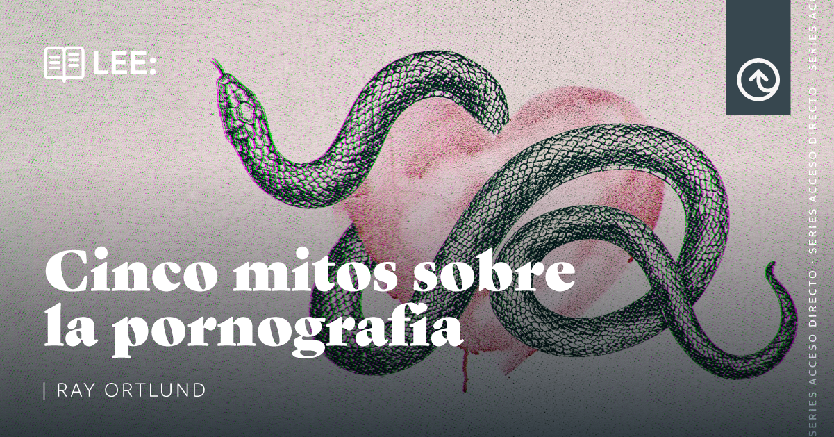 Cinco Mitos Sobre La Pornografía